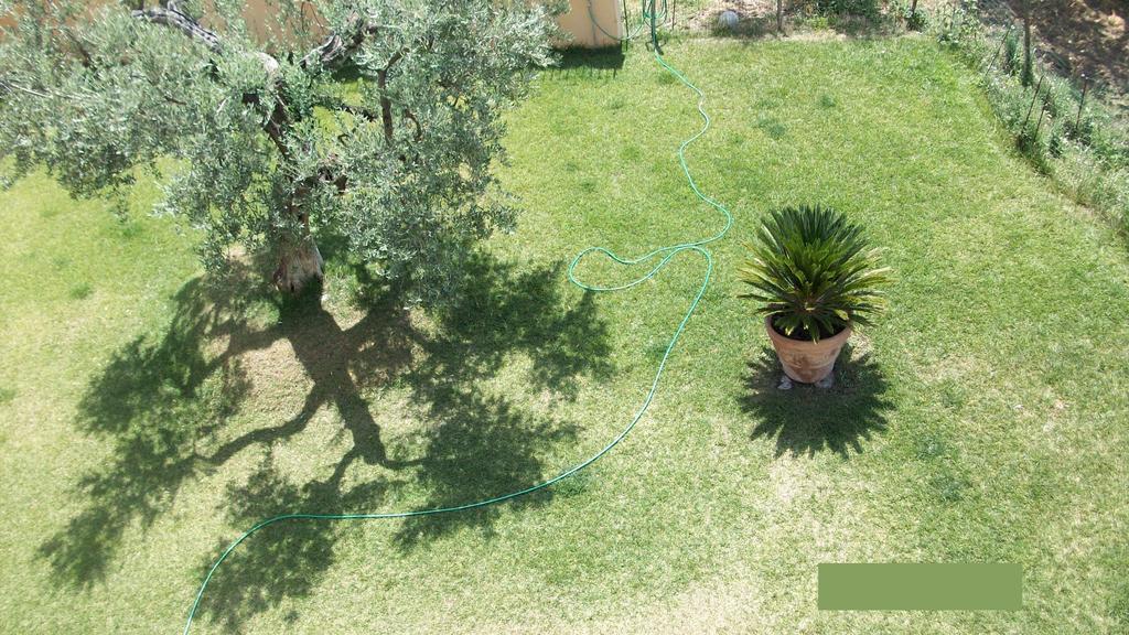 Il Giardino Degli Ulivi Bed & Breakfast Canneto  Eksteriør bilde