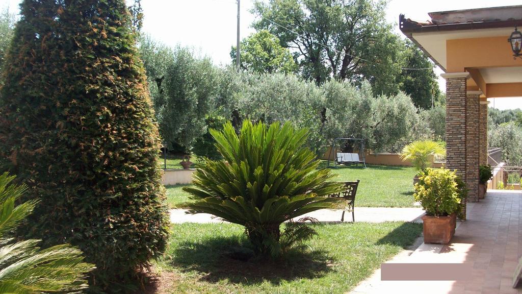 Il Giardino Degli Ulivi Bed & Breakfast Canneto  Eksteriør bilde